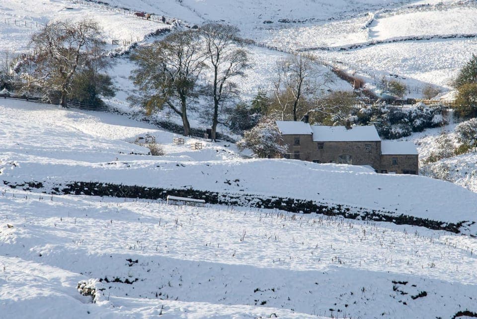 Facade/entrance, Neighbourhood, Natural landscape, Winter, Garden, On site, Garden view