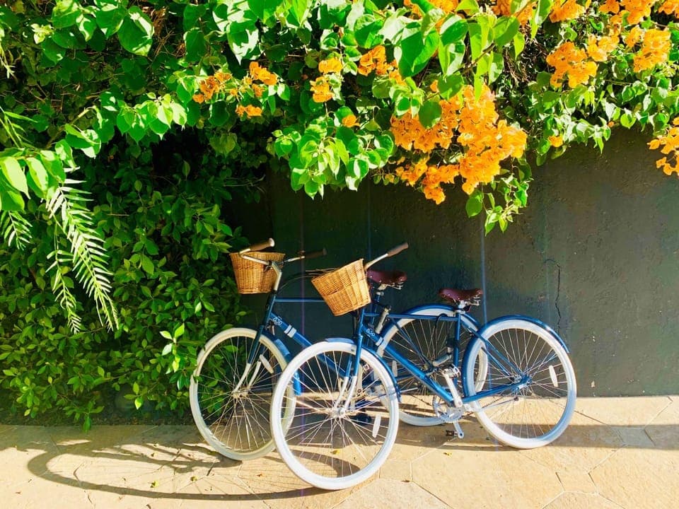 Cycling