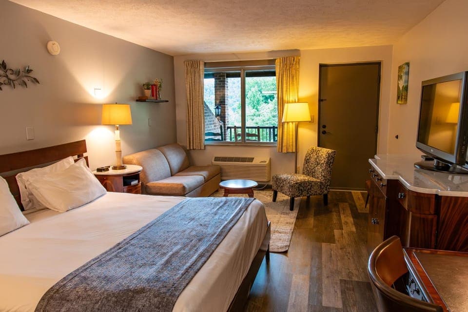 Bed, Living room, Photo of the whole room, Seating area, Bedroom