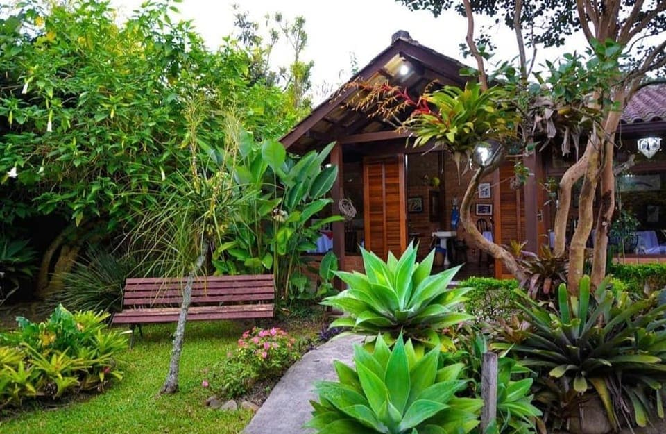 Spring, Natural landscape, Garden, Garden view