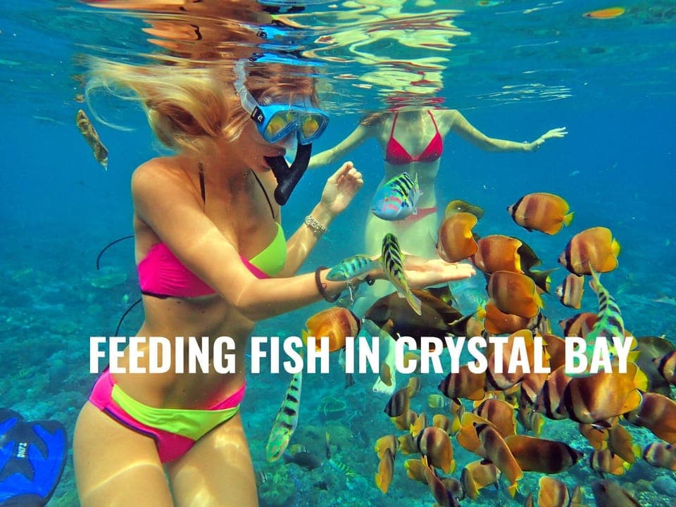 Nearby landmark, Snorkeling, Beach