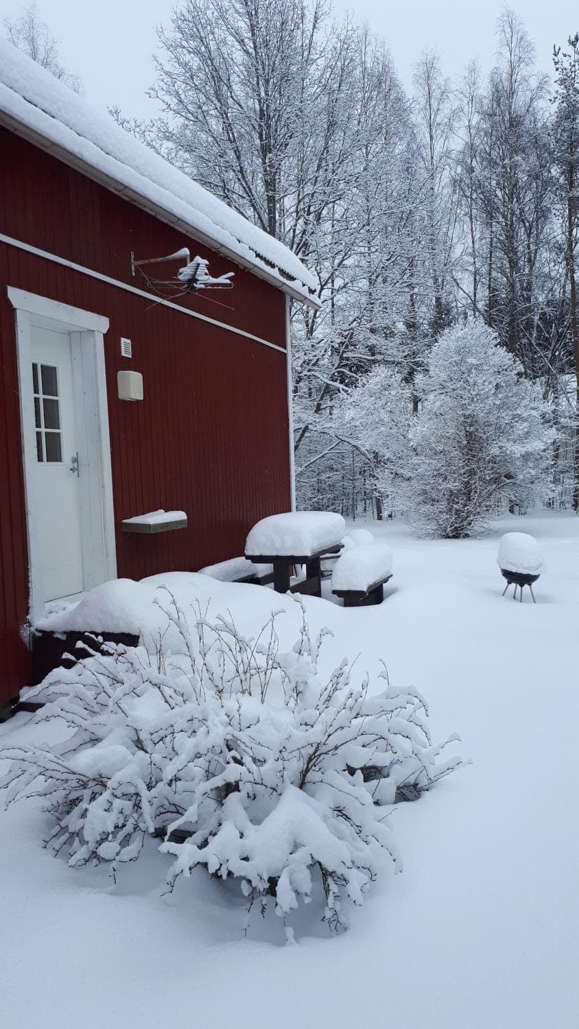 Property building, Winter