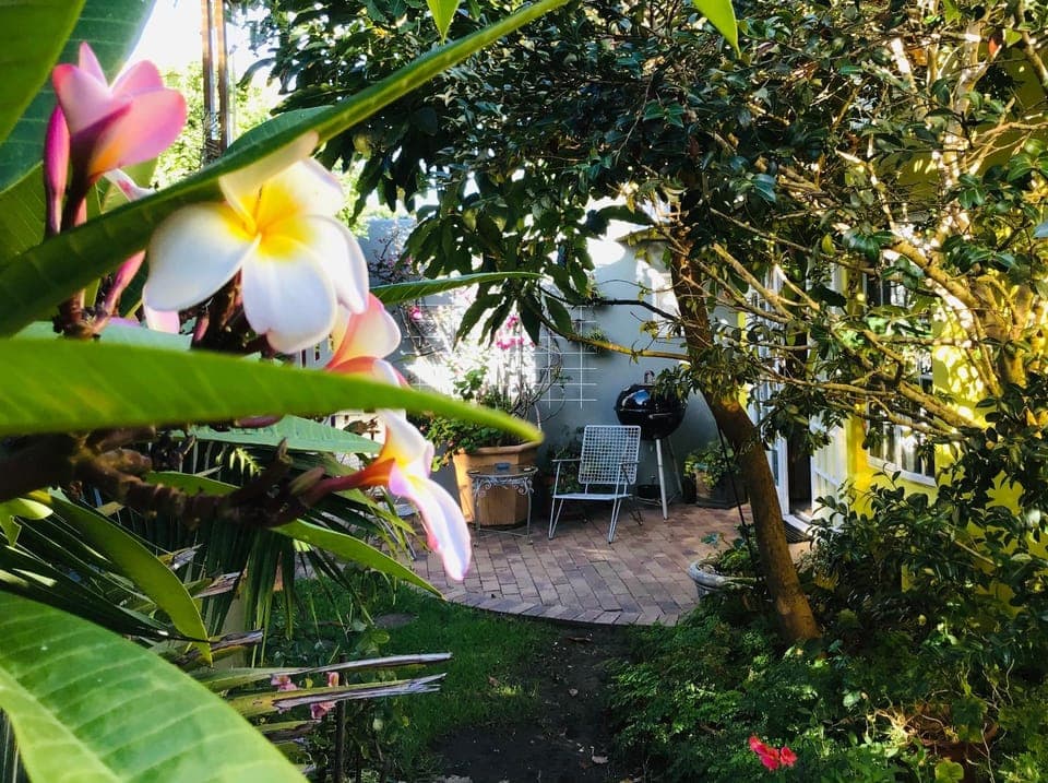 Patio, Property logo or sign, Garden, On site