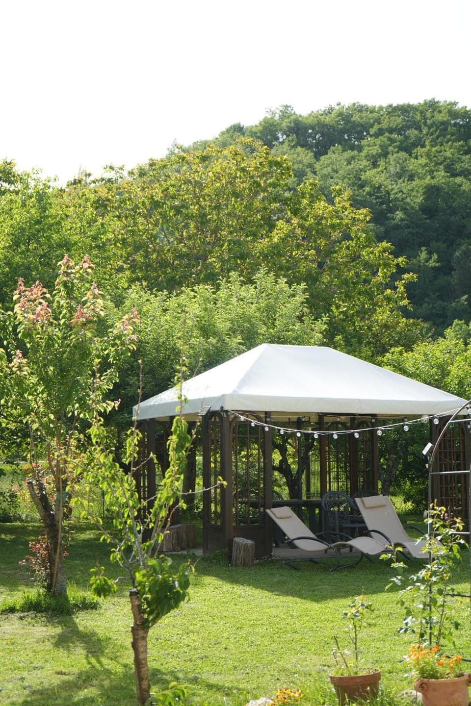 Patio, Spring, Day, Natural landscape, Garden view