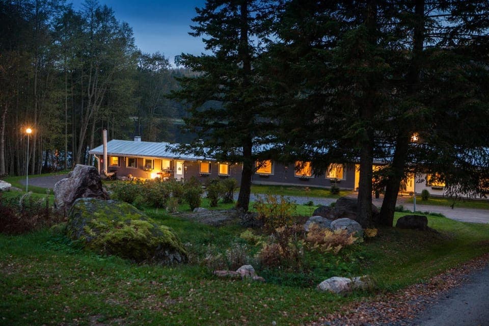 Property building, Day, Garden