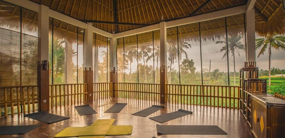 Natural landscape, Garden, Garden view