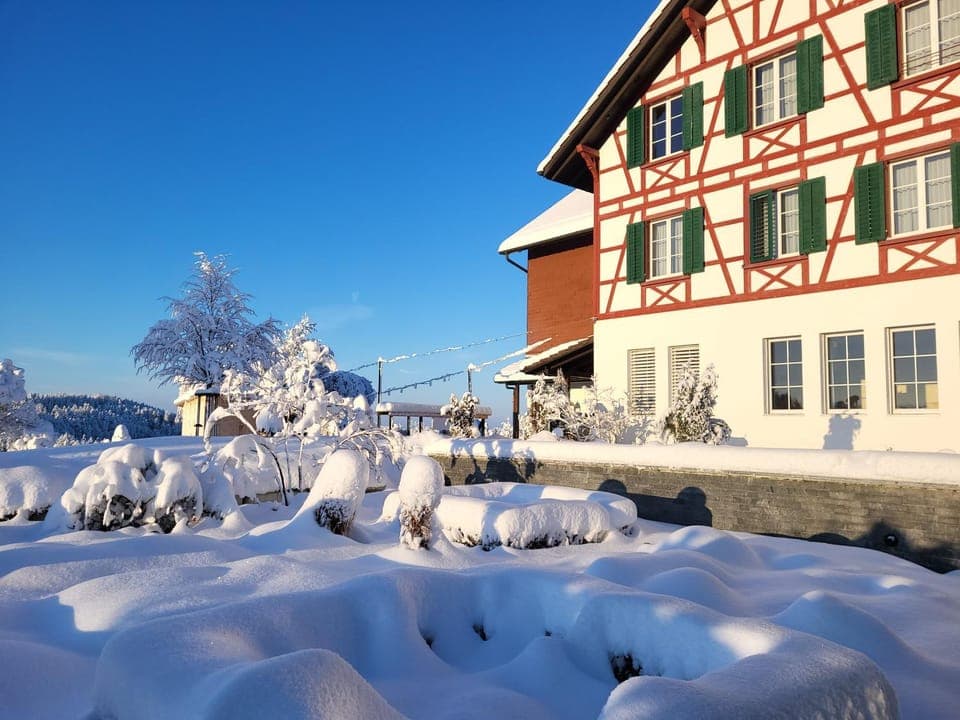 Property building, Winter