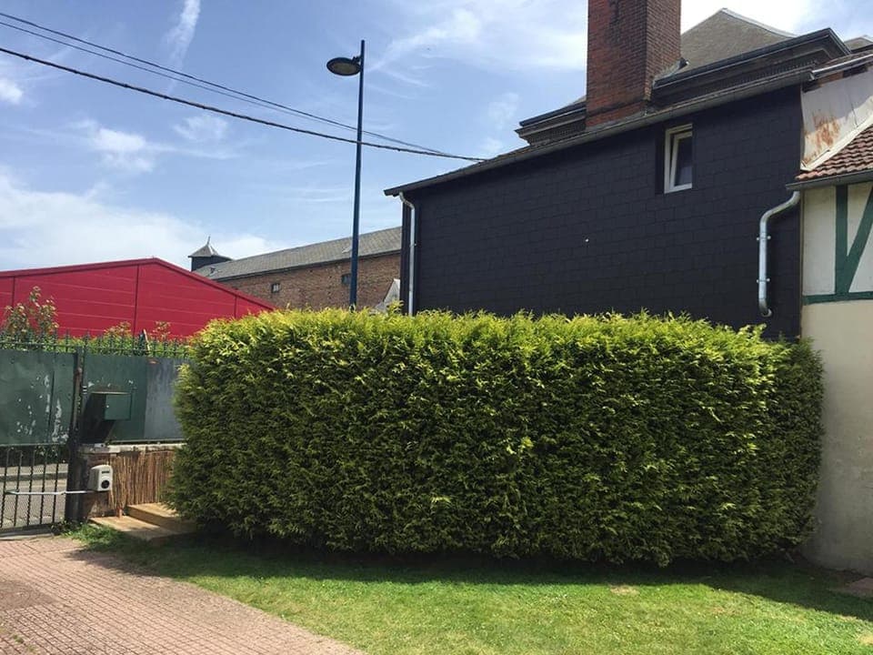 Property building, Facade/entrance, Garden