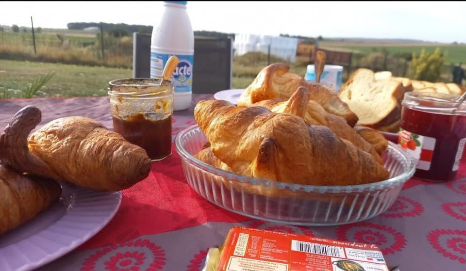 Food and drinks, Food, Breakfast, Continental breakfast