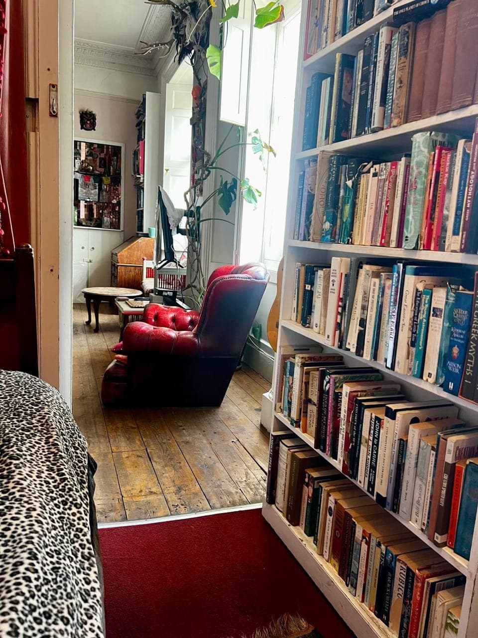 Bed, Living room, Bedroom