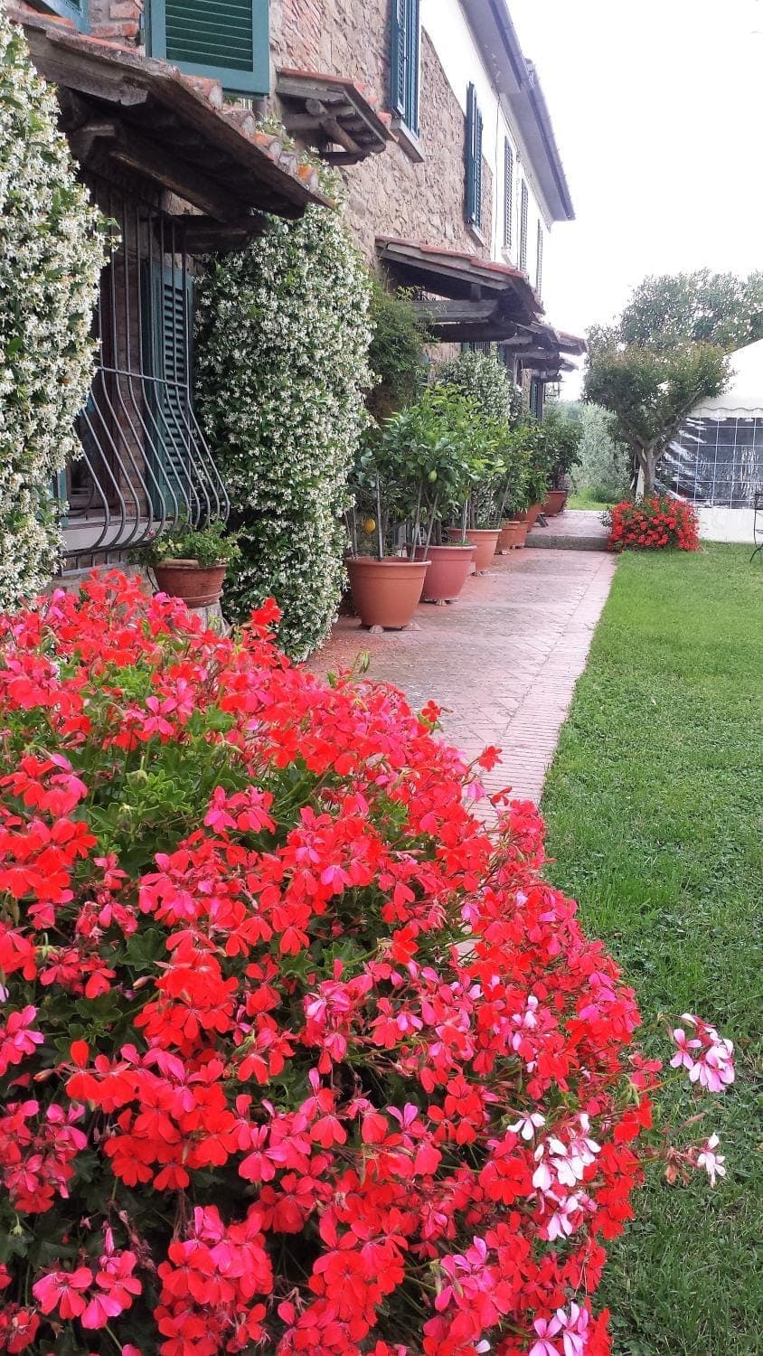 Property building, Spring, Day, Garden, Garden view