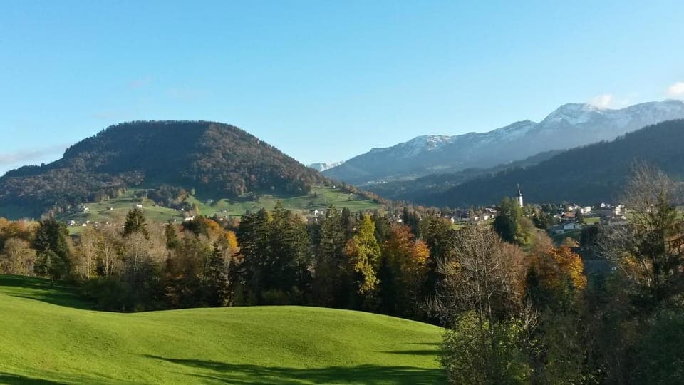 Natural landscape, Autumn, On site