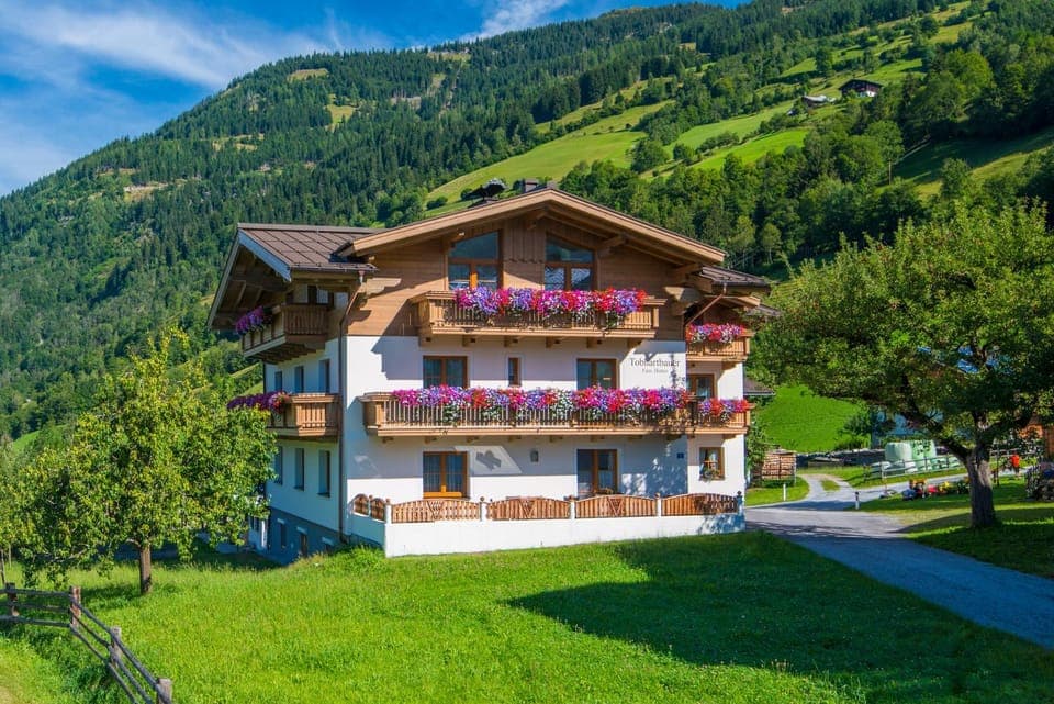 Property building, Summer