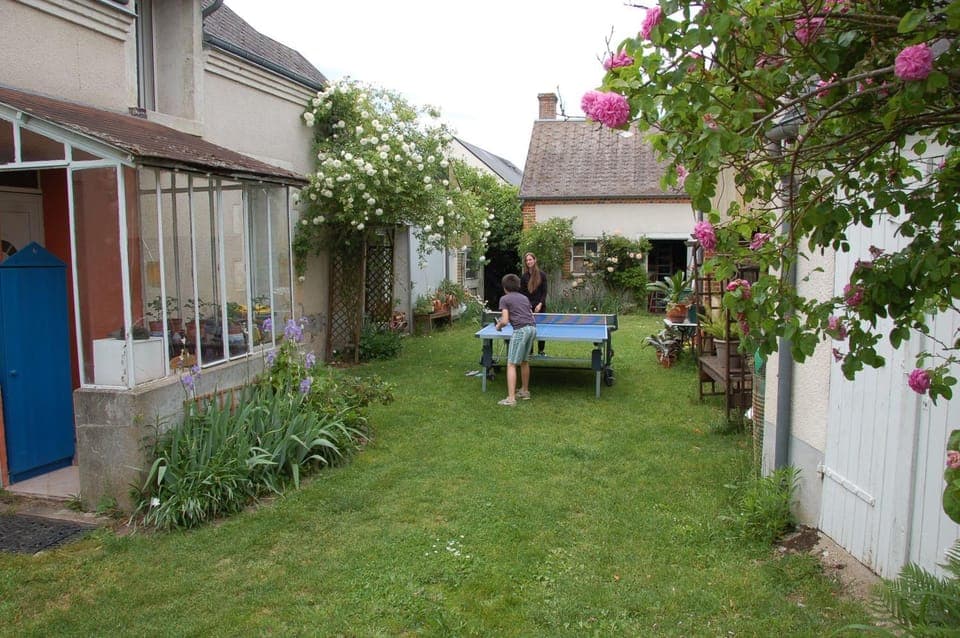 Garden, Table tennis