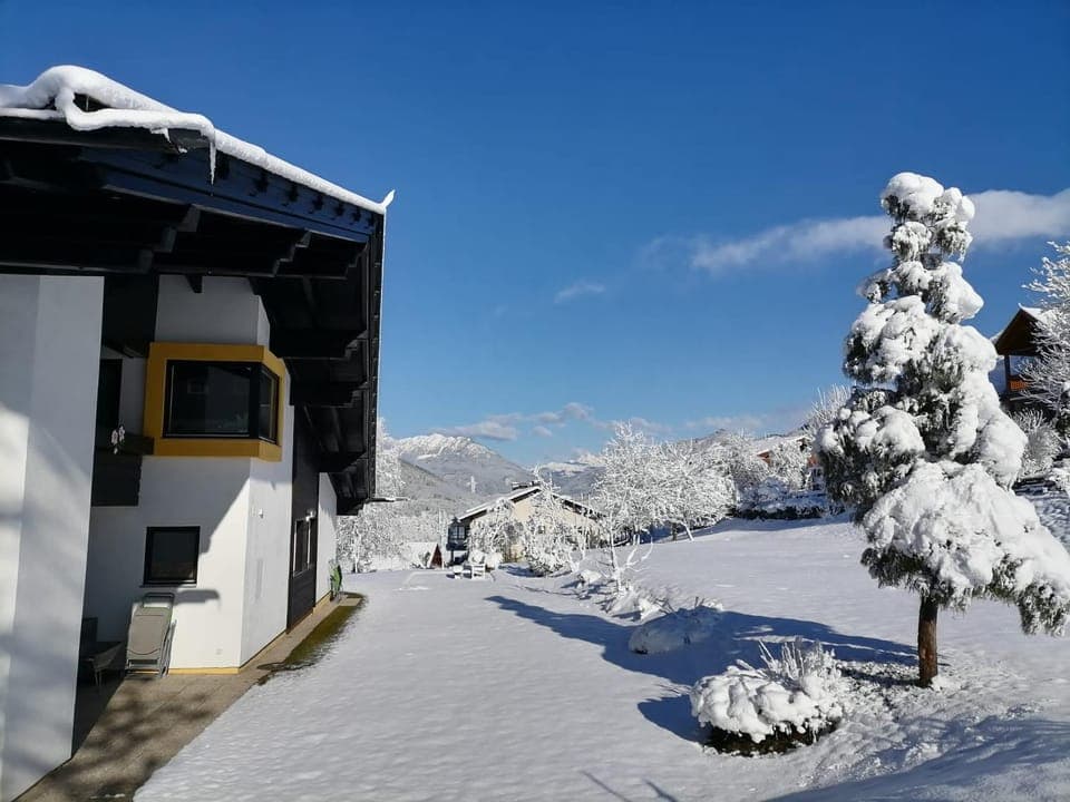 Winter, Garden, Garden, Garden view, Garden view