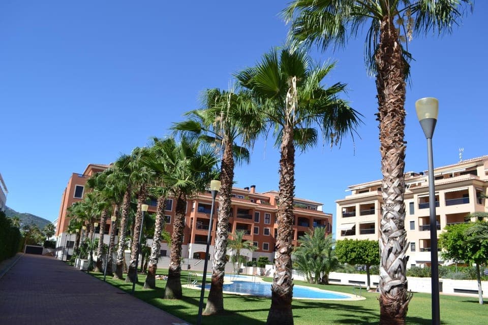 Garden, Swimming pool