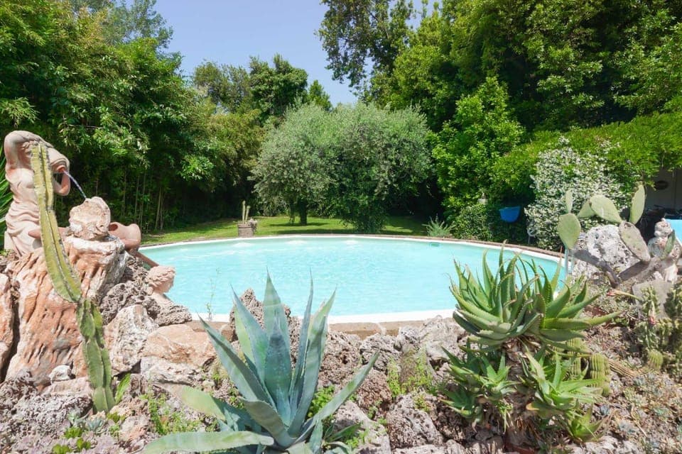 Garden, Pool view, Swimming pool