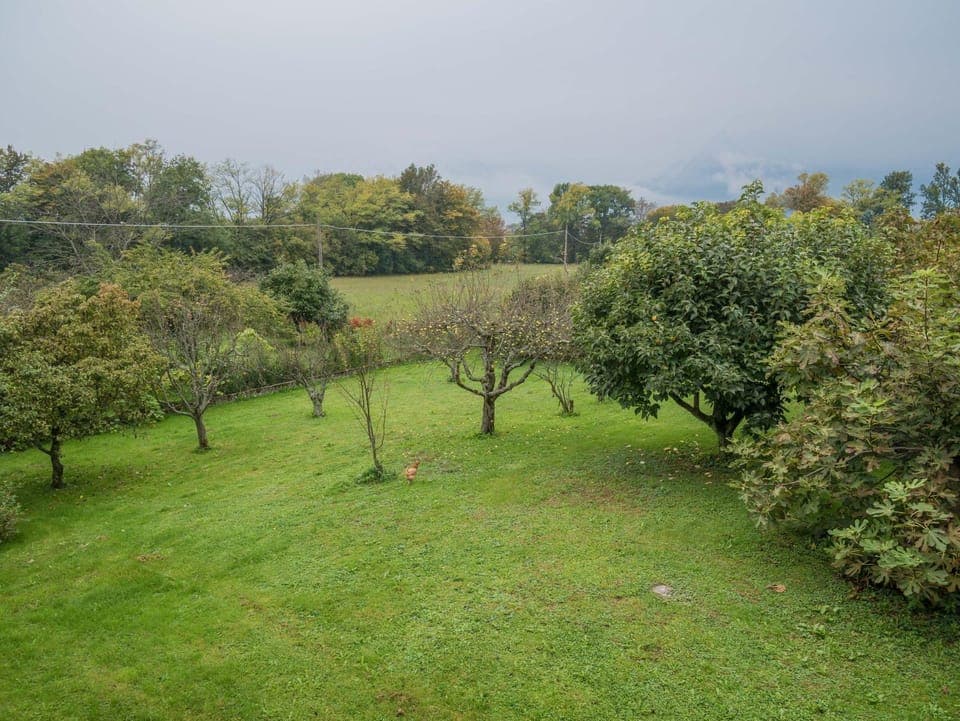 Natural landscape, Garden view