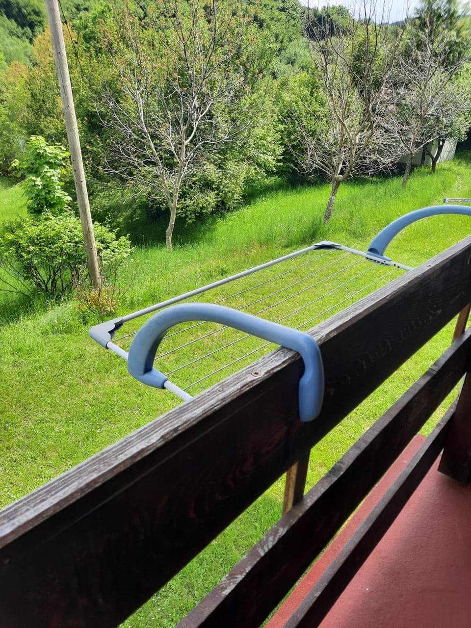 Spring, Day, Natural landscape, Garden view