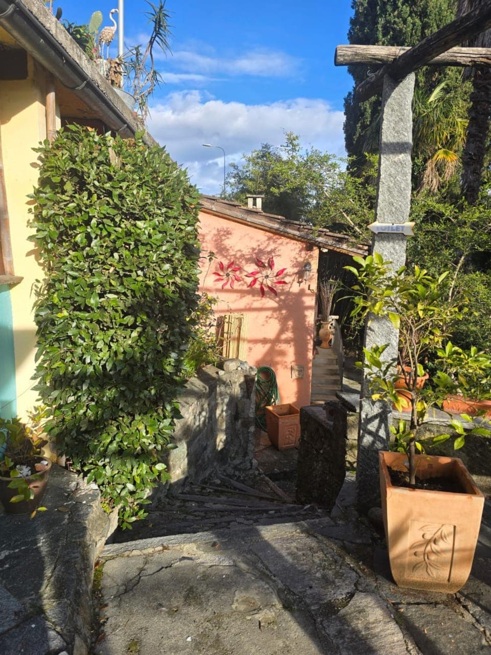 Property building, Spring, Day, Garden, Garden view