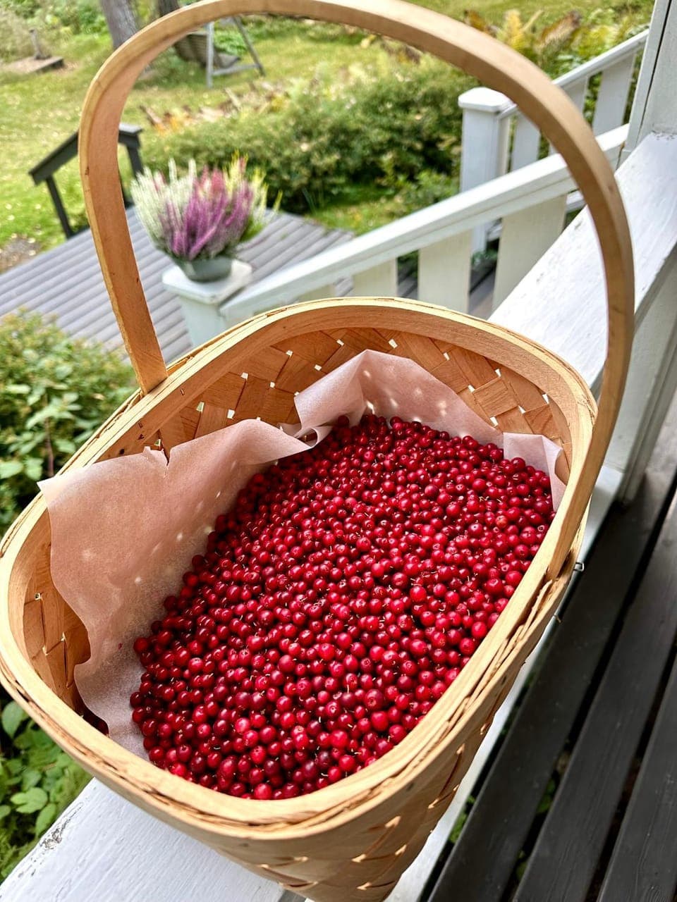 Garden, Food and drinks, Autumn, Food, Garden view, Seasons