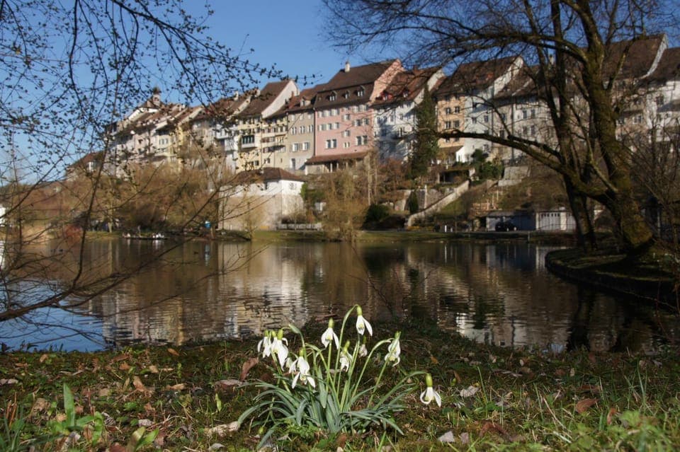 Property building, Spring, Area and facilities