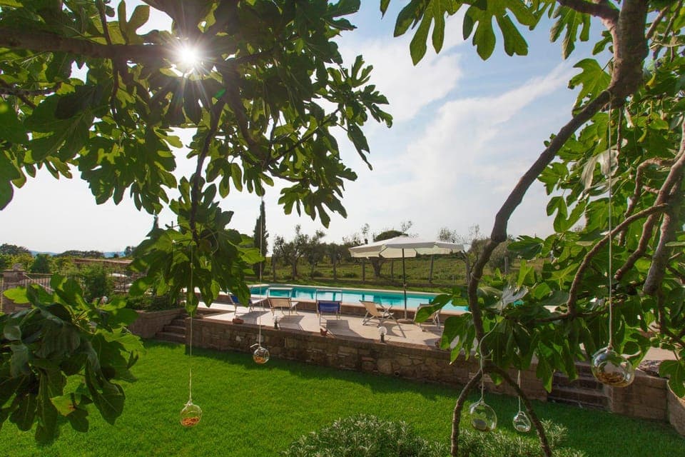 Garden, Swimming pool