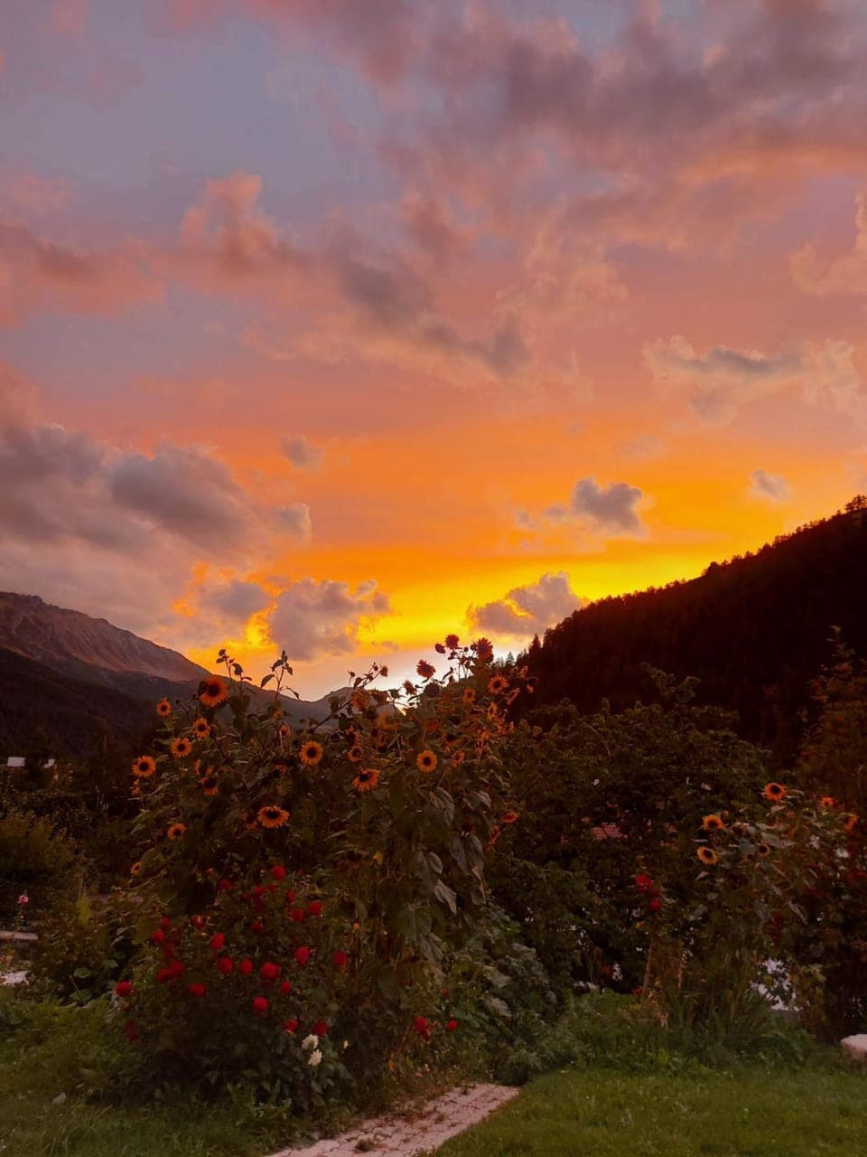 Mountain view, Sunset