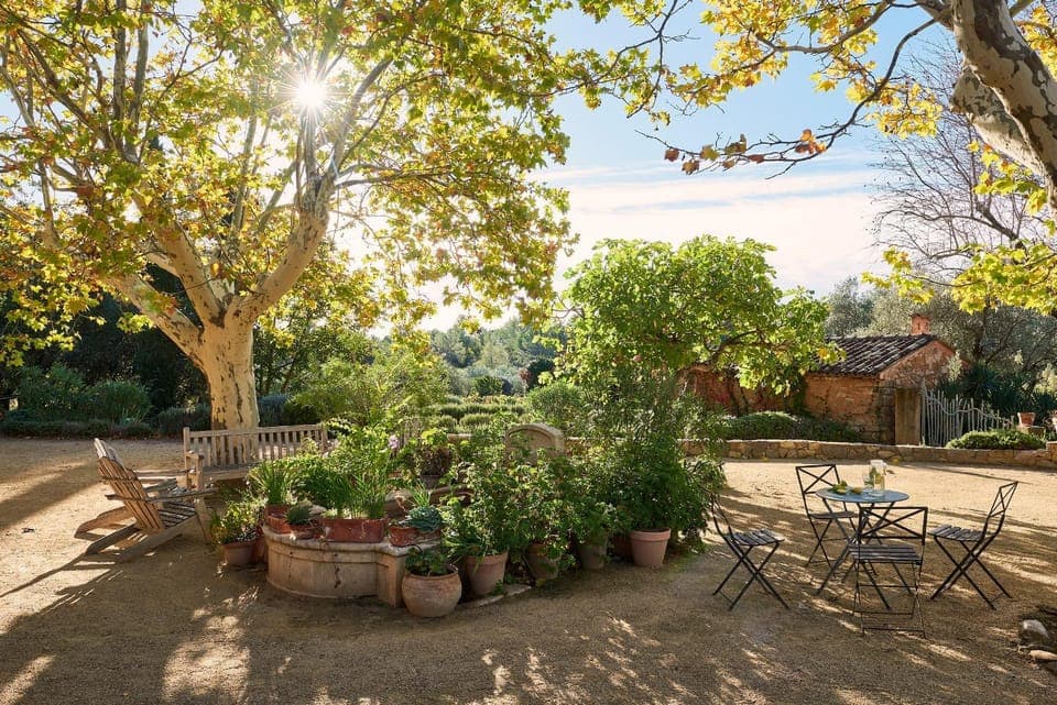 Patio, Garden, Garden view
