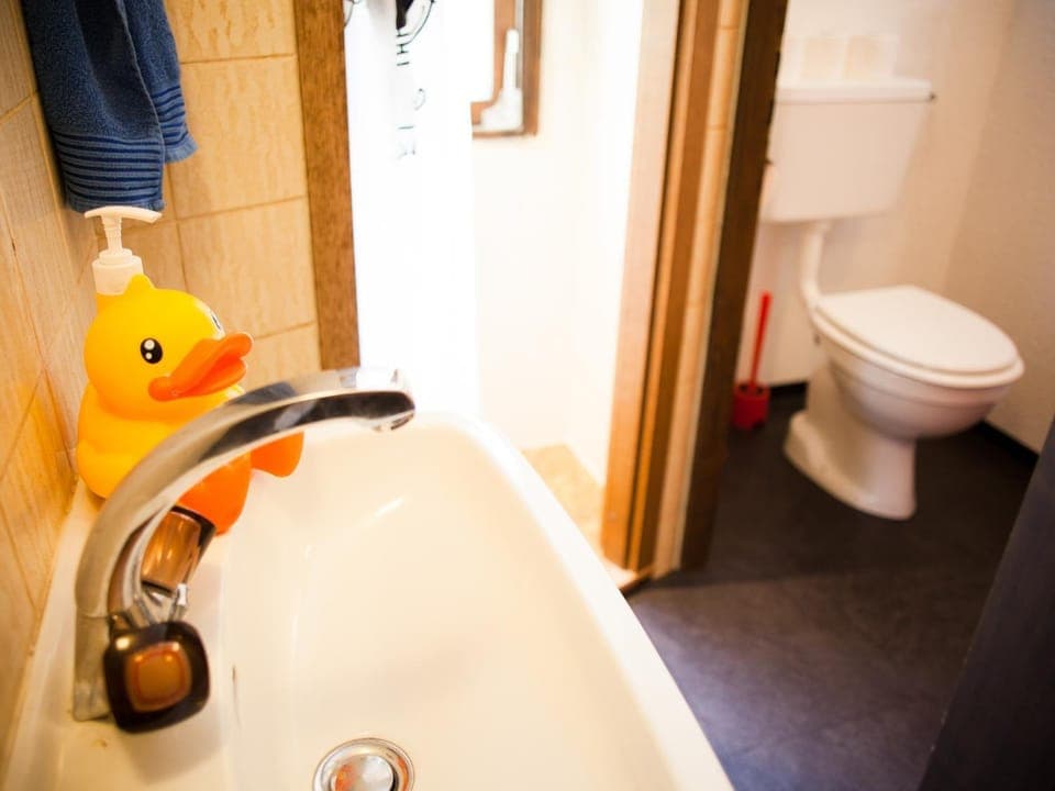 Shower, Toilet