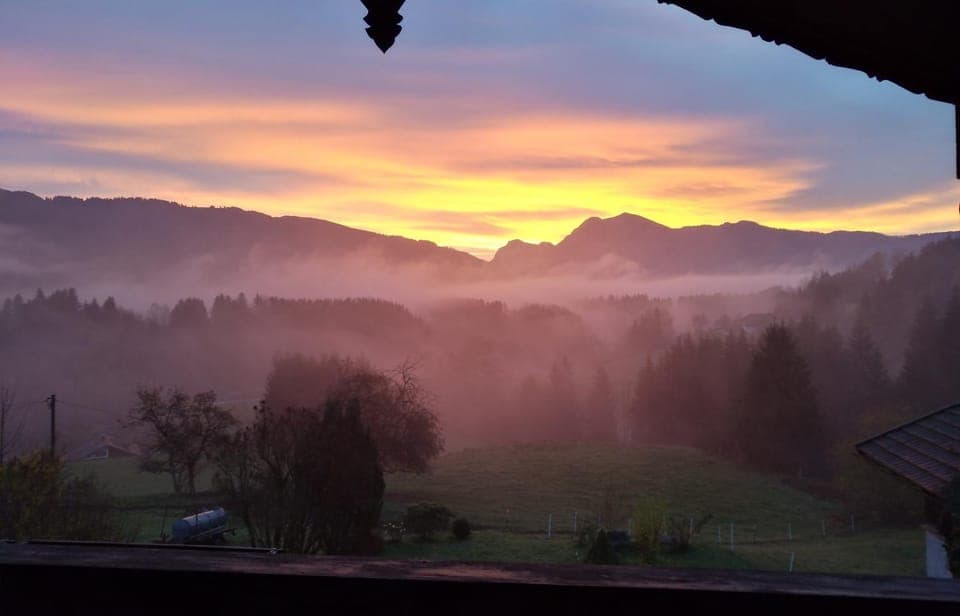 Natural landscape, Autumn, On site, Sunrise