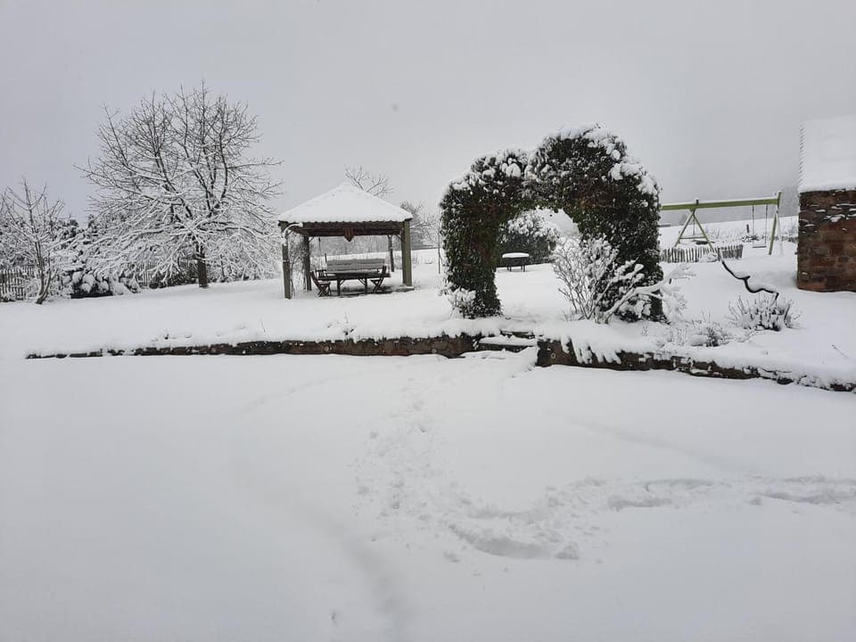 Neighbourhood, Garden