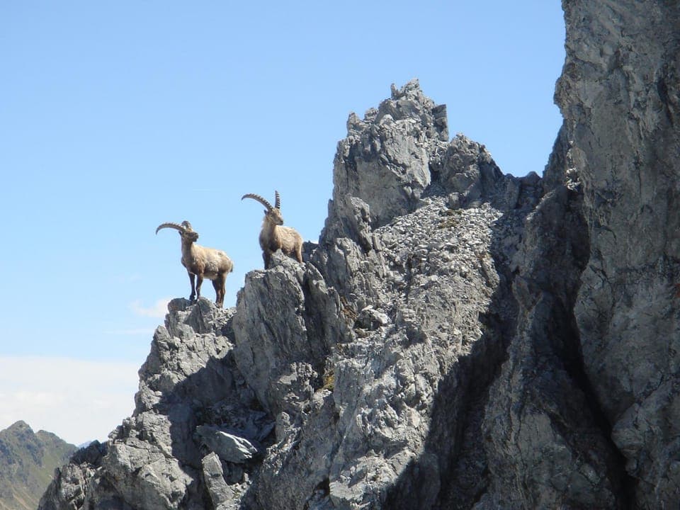 Hiking, Area and facilities