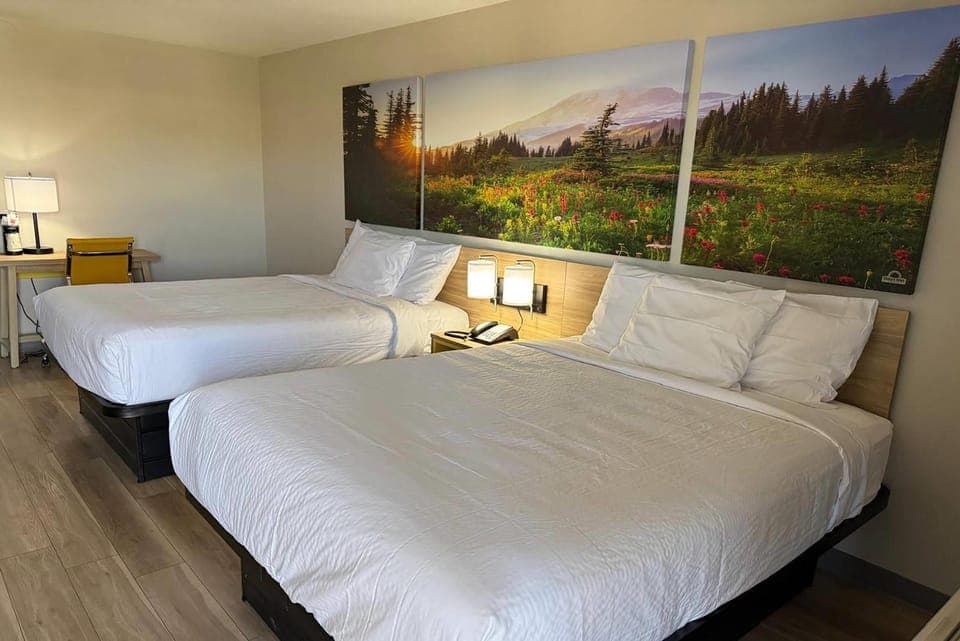 Photo of the whole room