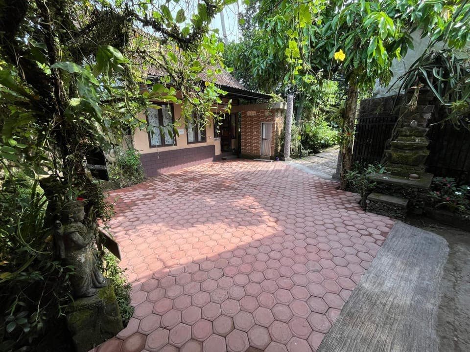 Day, Garden view