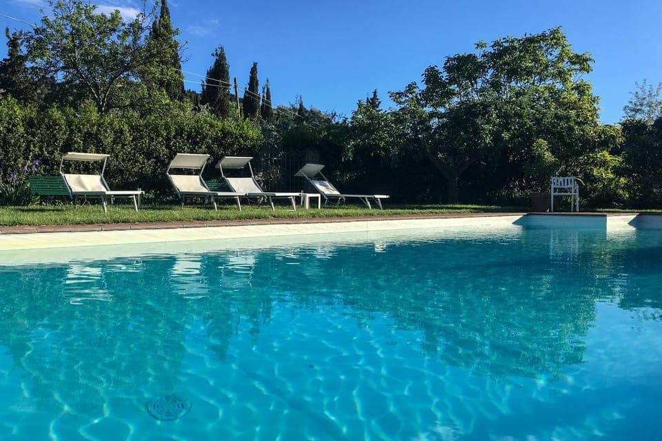 Day, Pool view, Swimming pool, sunbed