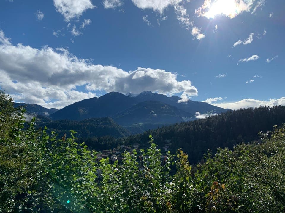 View (from property/room)