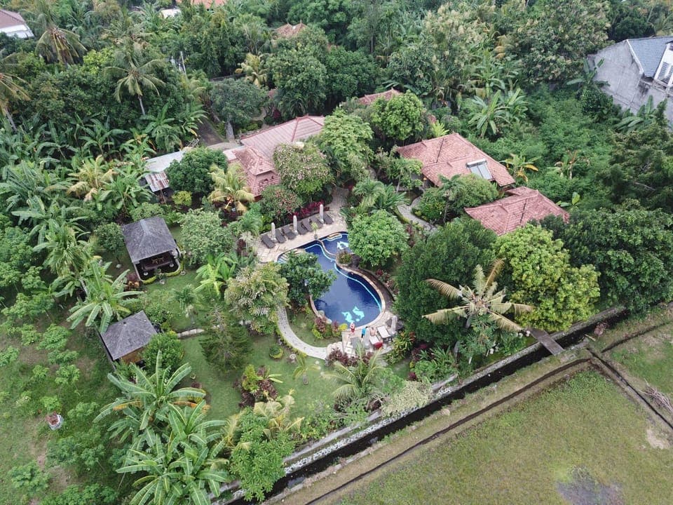 Patio, Garden, View (from property/room), Other, On site, Garden view, Pool view