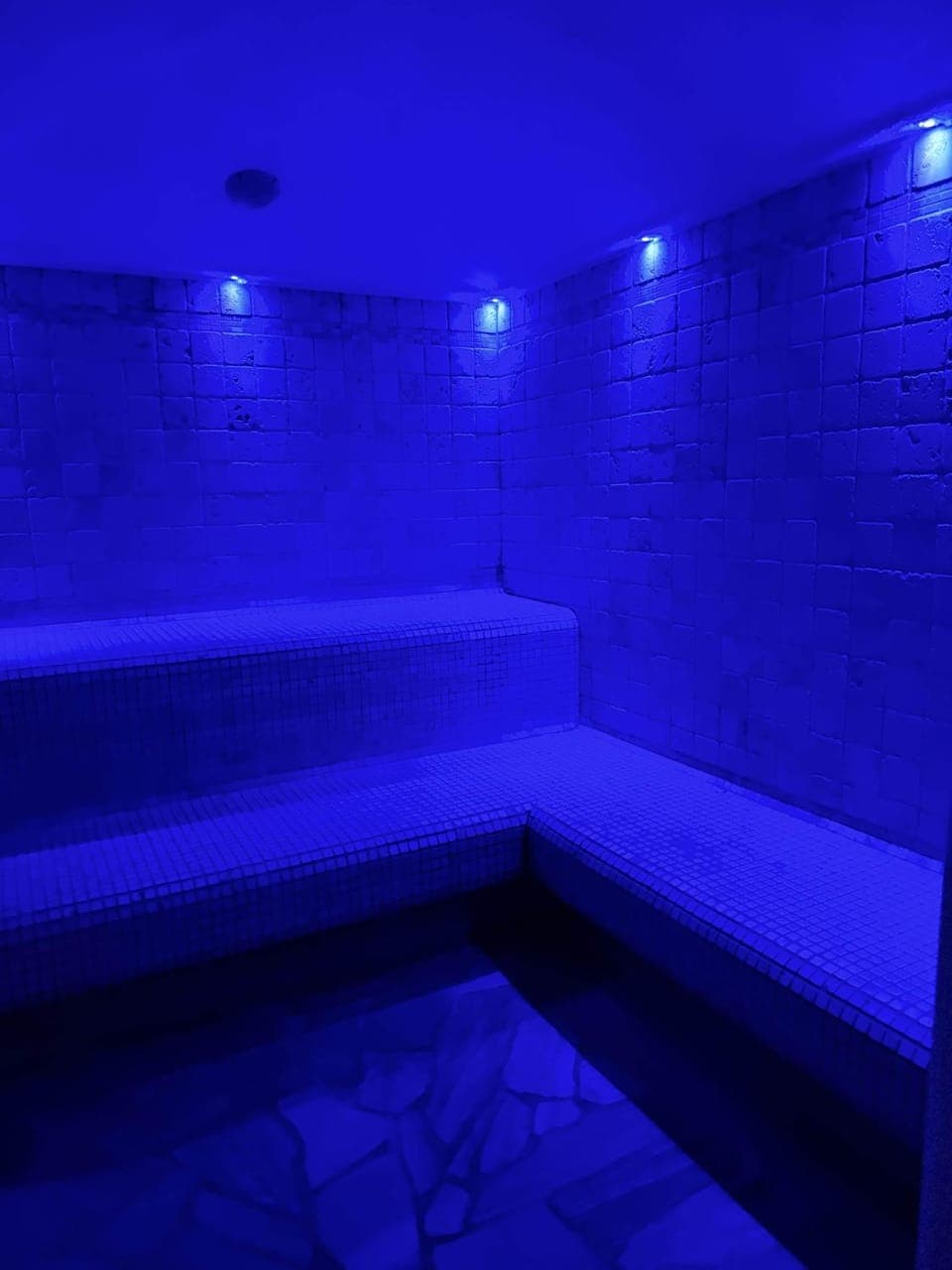 Spa and wellness centre/facilities