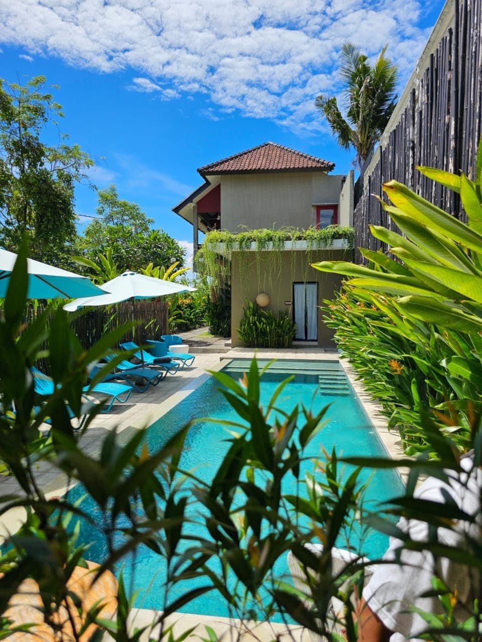 Pool view, Swimming pool