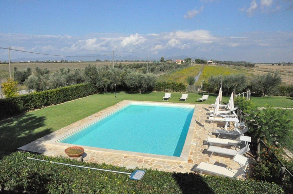 Swimming pool, Swimming pool