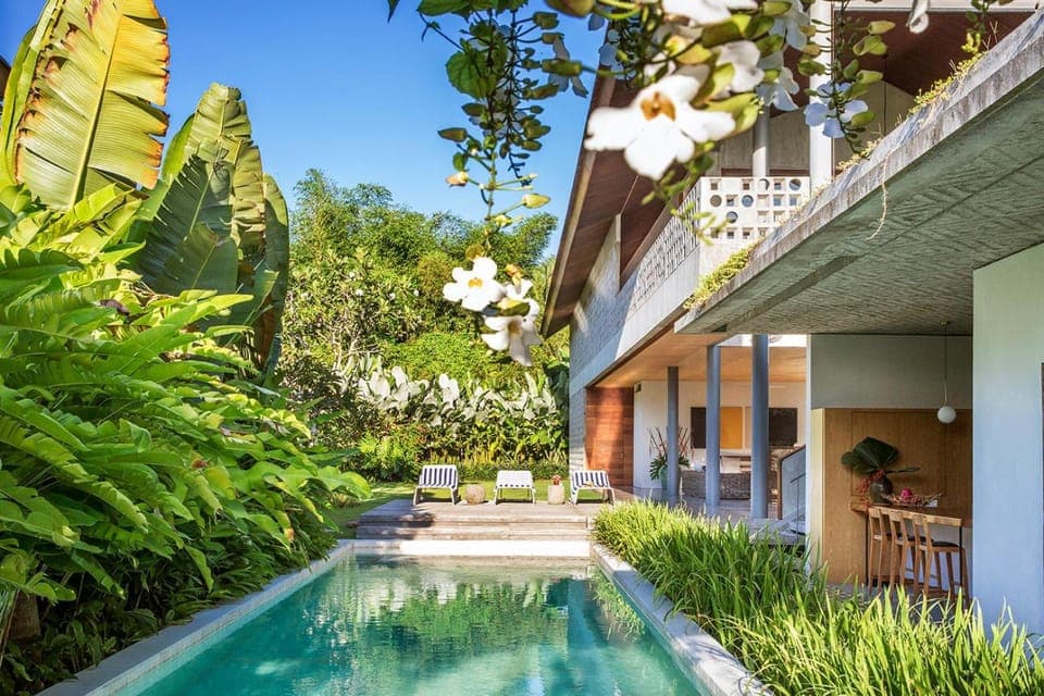 Garden, Swimming pool, Swimming pool