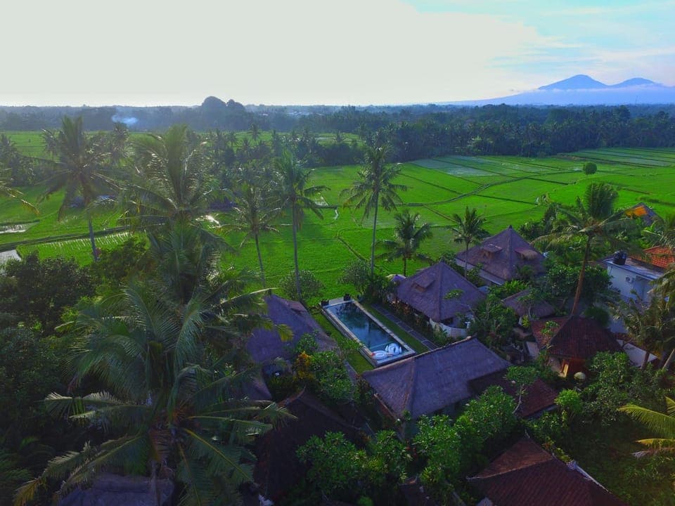 Neighbourhood, Bird's eye view
