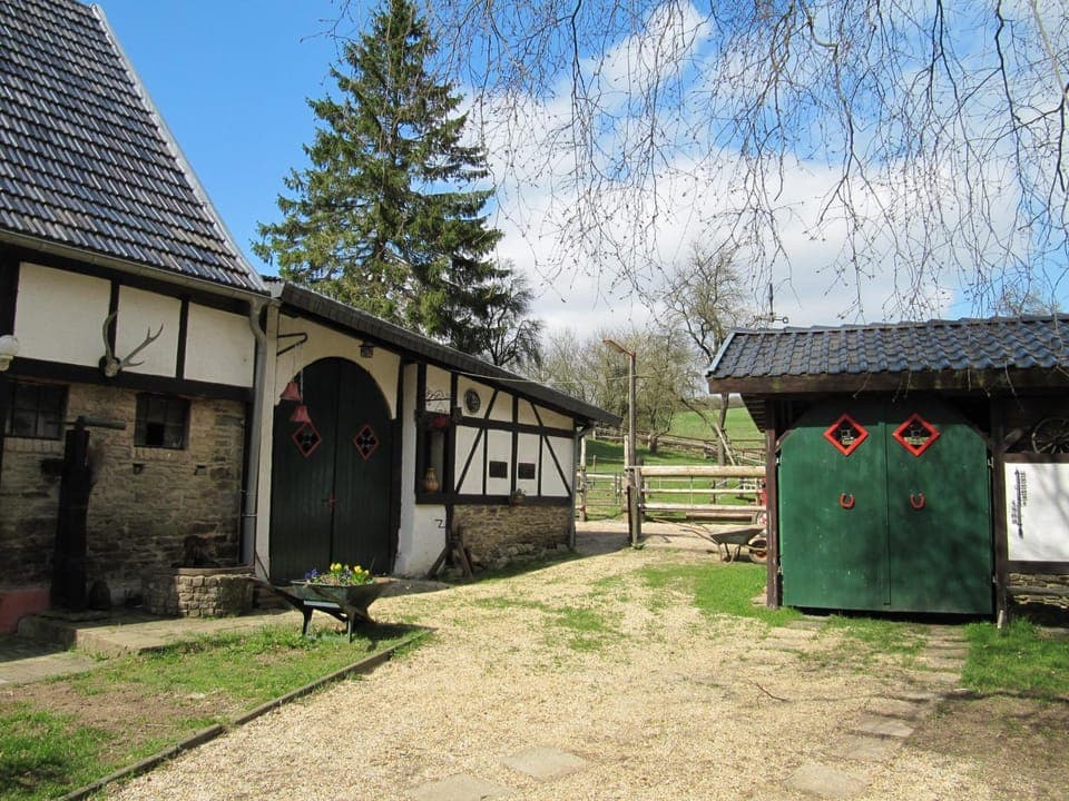 Property building, Garden, Animals, Pets, Garden view