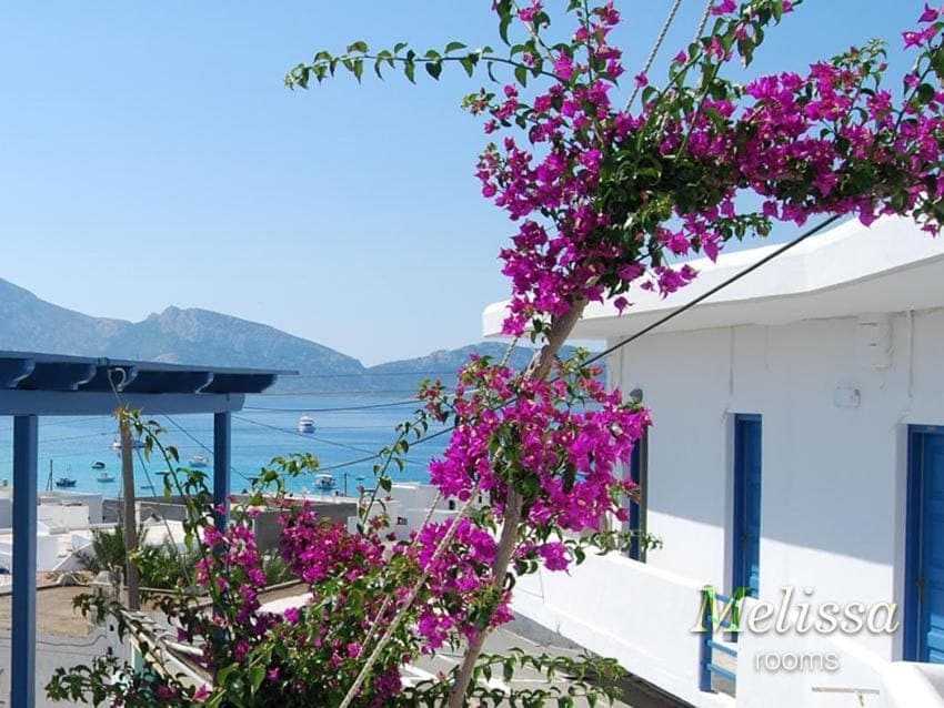 Facade/entrance, Area and facilities