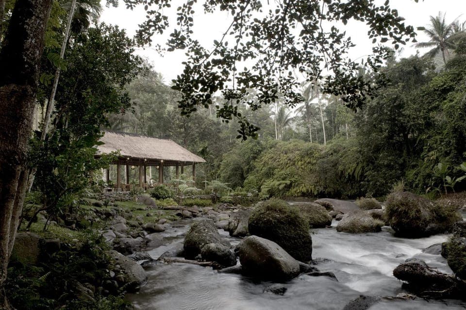 Day, Natural landscape, River view, Area and facilities, Breakfast, Lunch