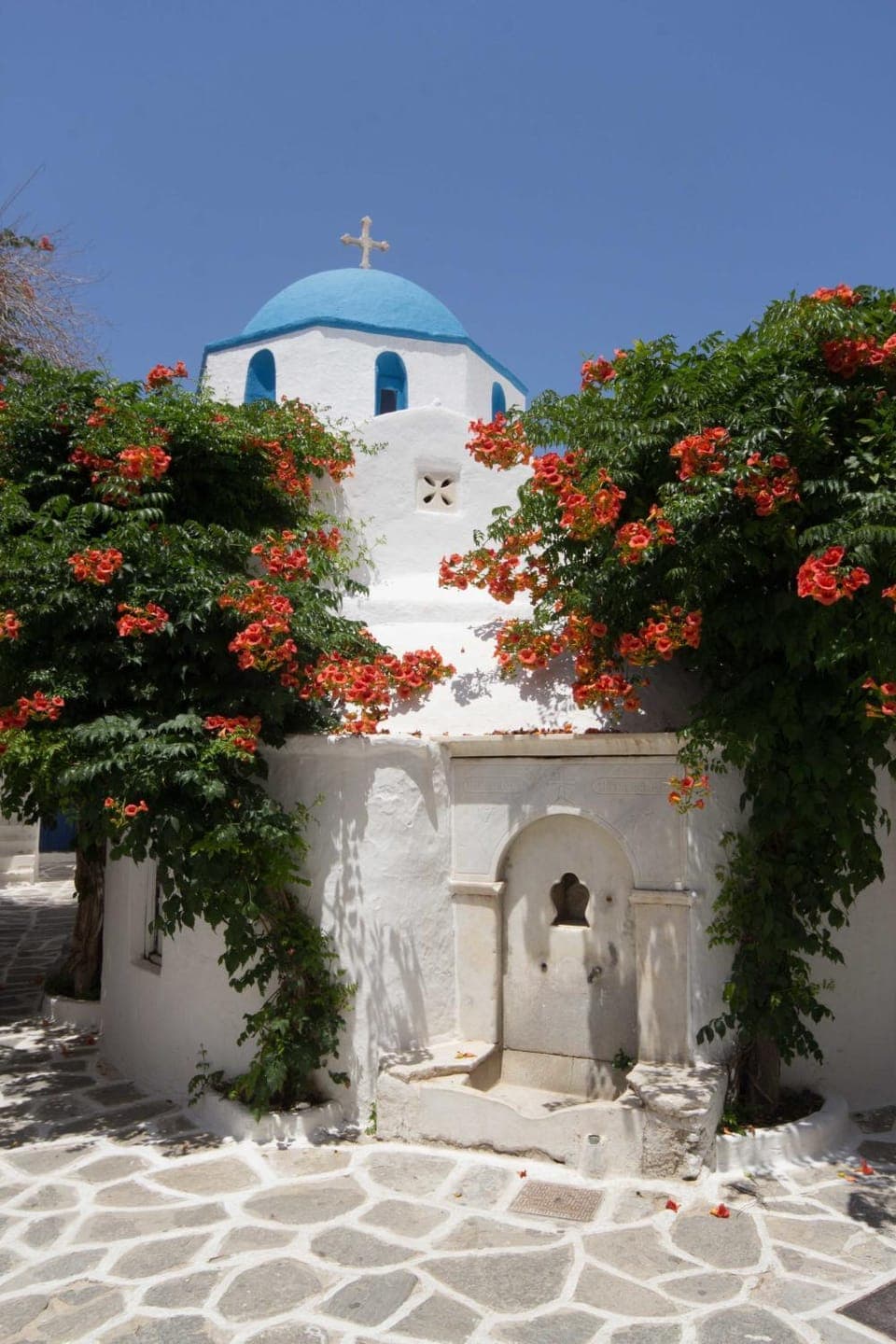 Neighbourhood, View (from property/room)