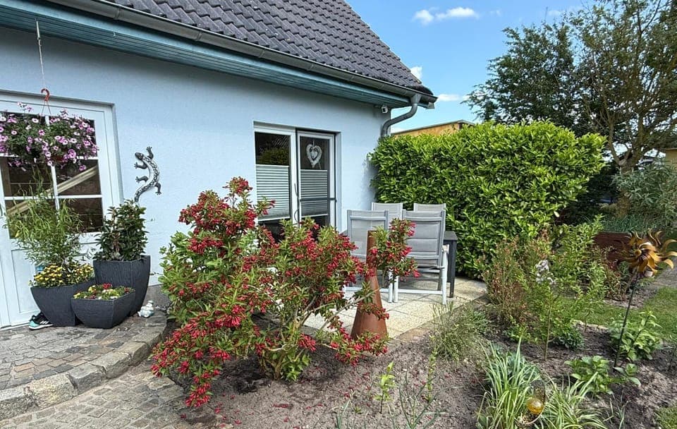 Property building, Garden view