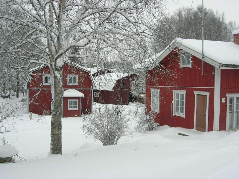 Winter