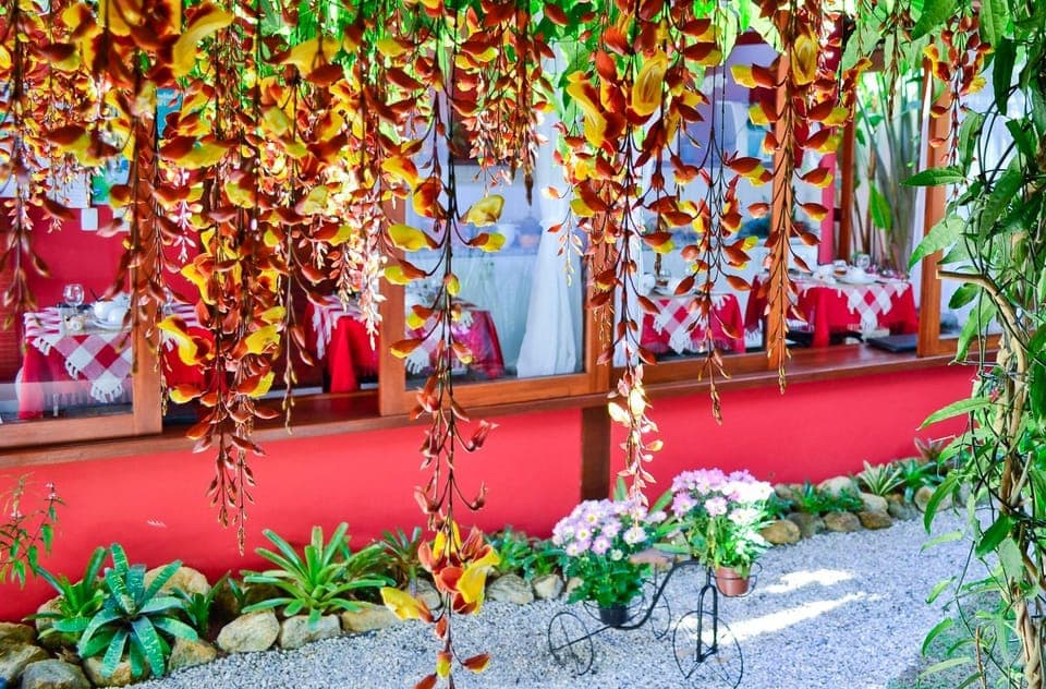 Spring, Day, Garden, Lounge or bar, On site, Garden view